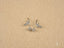 Silver-colored celestial cross 18k earrings with clear gemstones and matching backs