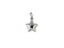 Silver five-point star charm in 18k white gold from Celestial Star art gold jewelry collection