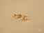 Gold CZ Heart Bow Earrings with clear faceted gemstones, part of Charming Bow collection