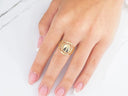 Elegant 18k yellow gold Nossa Senhora Aparecida ring with ladybug design on hand
