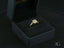 Eternal Embrace Engagement Ring with eternal love diamond and halo design in black box