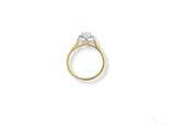Eternal halo engagement ring with oval diamond and delicate halo