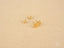 Floral Bloom 18K gold flower-shaped stud earrings with screw-back closures, elegant art gold jewelry