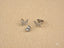 Silver butterfly stud earrings with cubic zirconia backs from FlutterGleam white gold butterfly jewelry