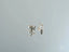 Silver butterfly stud earrings with backs from FlutterGleam art gold jewelry collection