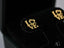 Radiant 18k gold love earrings with a heart replacing the O in the design