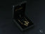 Gold-toned bar earrings in black velvet box, ideal for personalized necklace or 18k gold jewelry